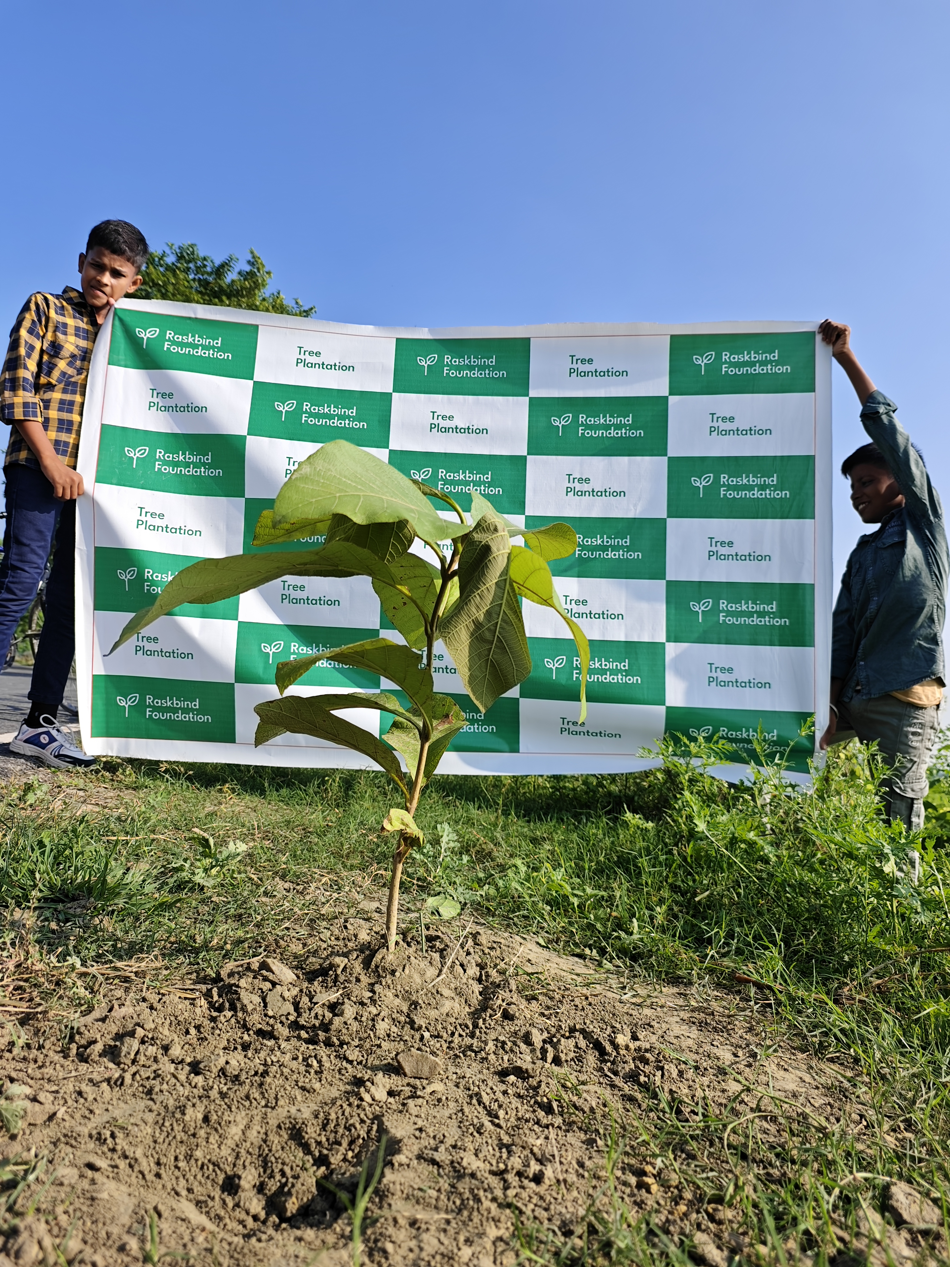 Community planting event